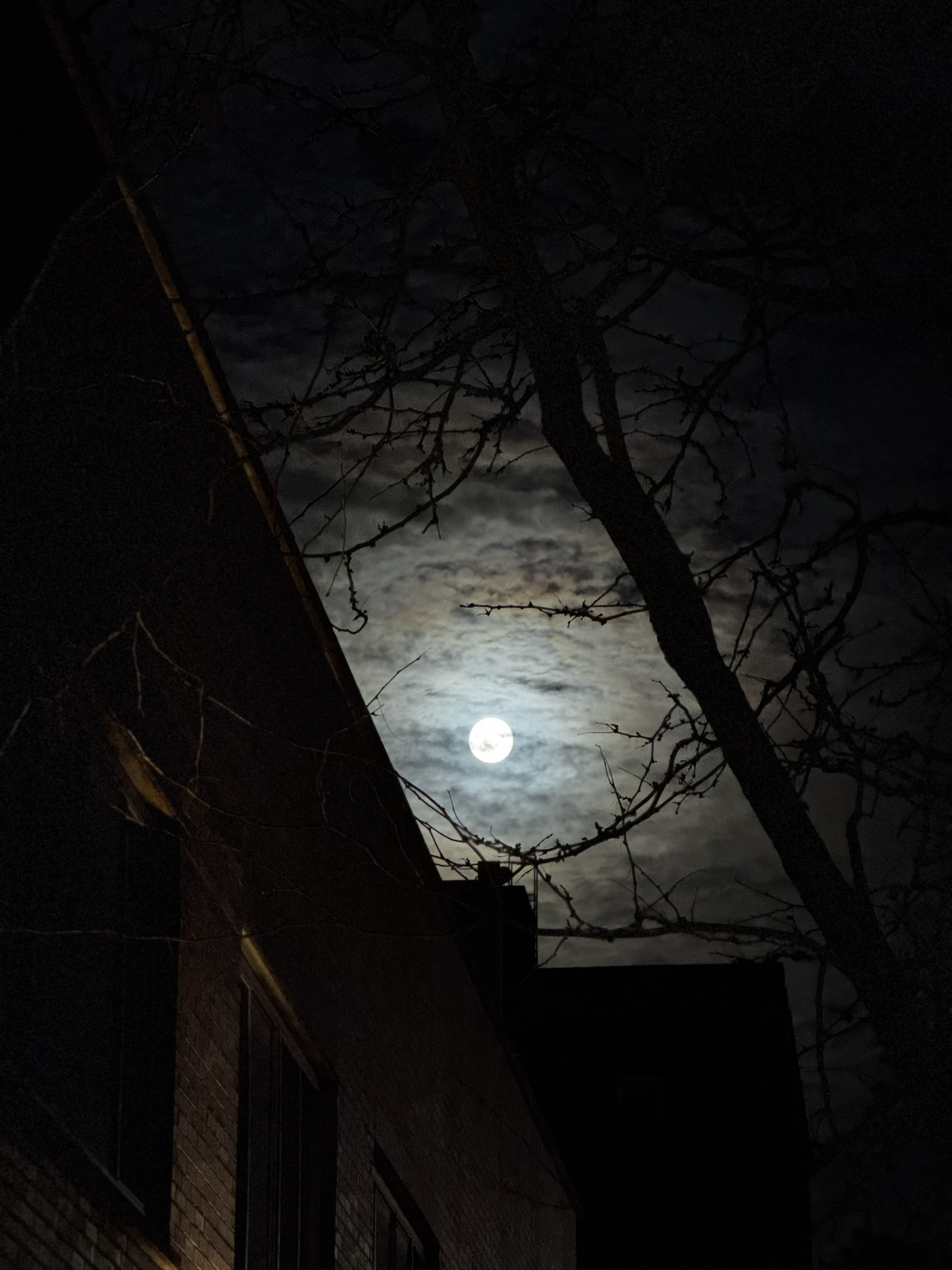The Night Time Sky in New York City, 2025