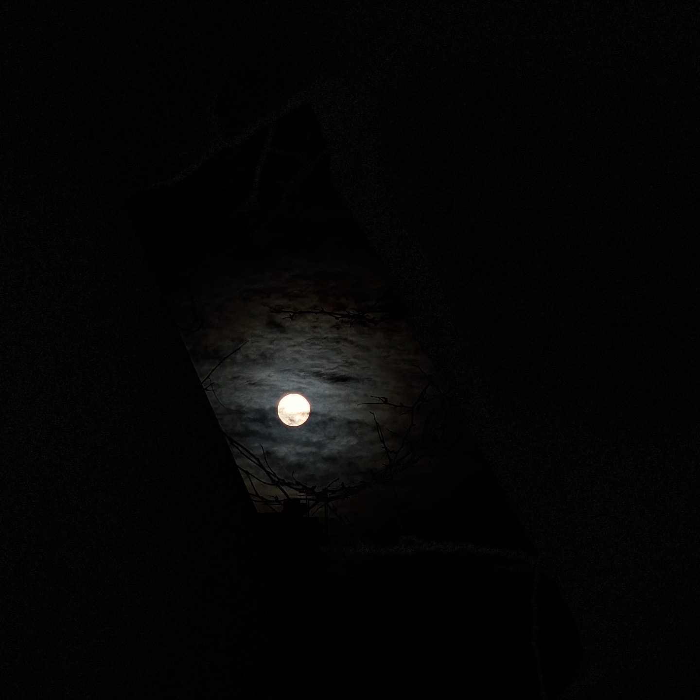 Another Shot of the Moon