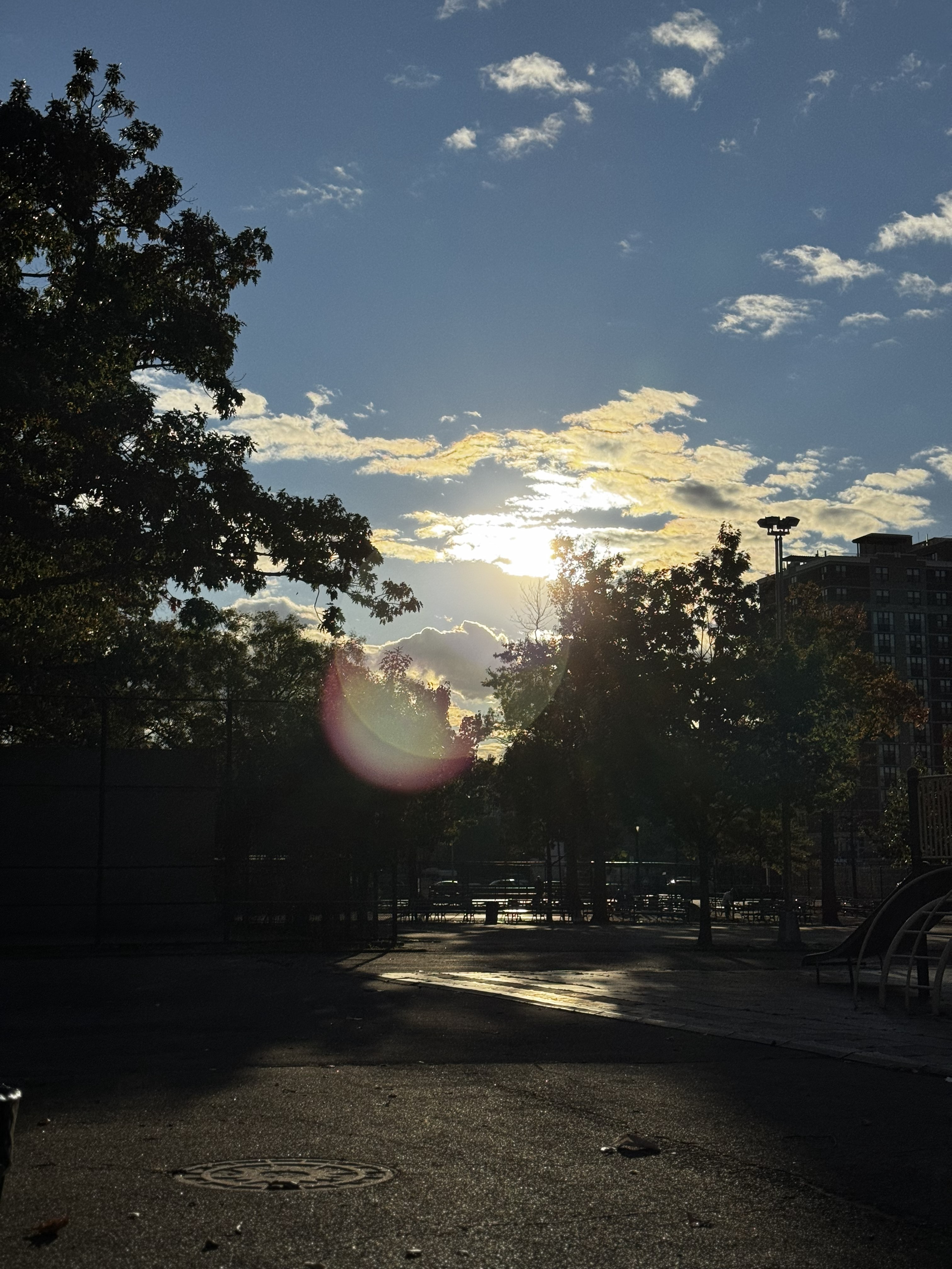 Sunshine On a Somewhat Cloudy Day, 2025
