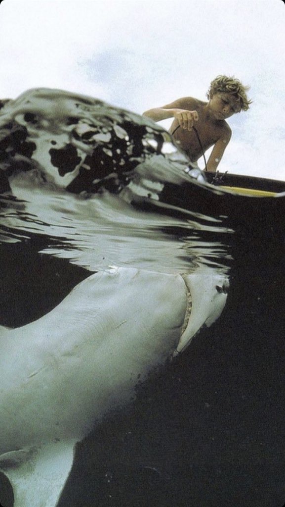 Young Boy Fishes for a Shark